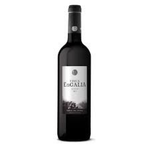 FINCAENGALIA JOVEN R.DUERO 6.UD