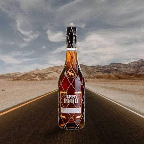 BRANDY 1900 TERRY 70 CL